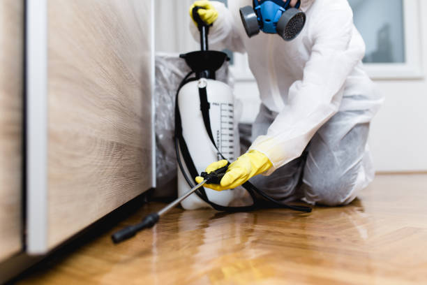 Best Rat Extermination Near Me  in White Salmon, WA