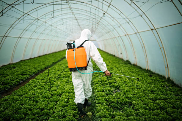 Best Affordable Pest Control Services  in White Salmon, WA