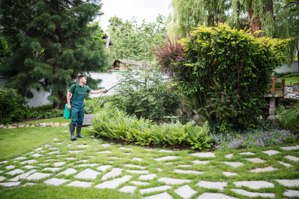 Best Bed Bug Extermination  in White Salmon, WA