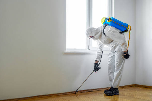 Reliable White Salmon, WA Pest Control Solutions