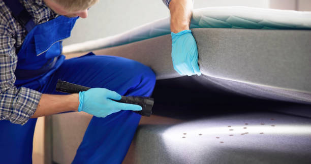 Best Flea Control Services  in White Salmon, WA