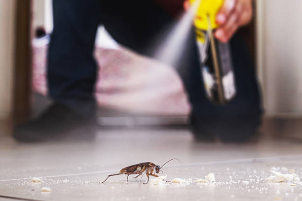 Best Wildlife Control Services  in White Salmon, WA