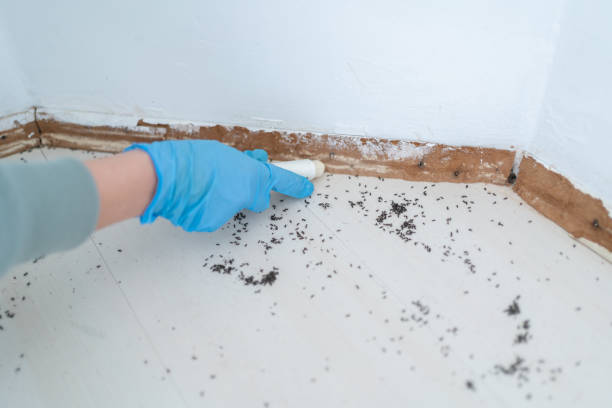 Best Emergency Pest Control  in White Salmon, WA