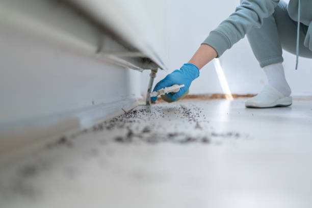 Pest Control for Restaurants in White Salmon, WA